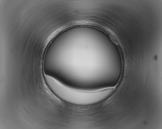 X0000115761330200911271108