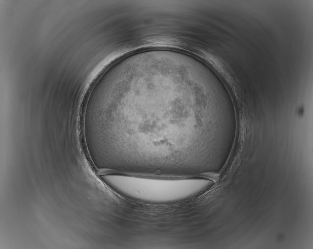 X0000115761331200911271108