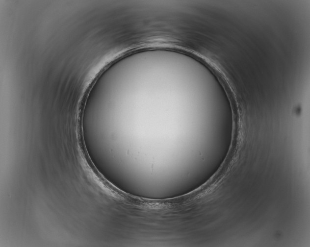 X0000115761333200911271108