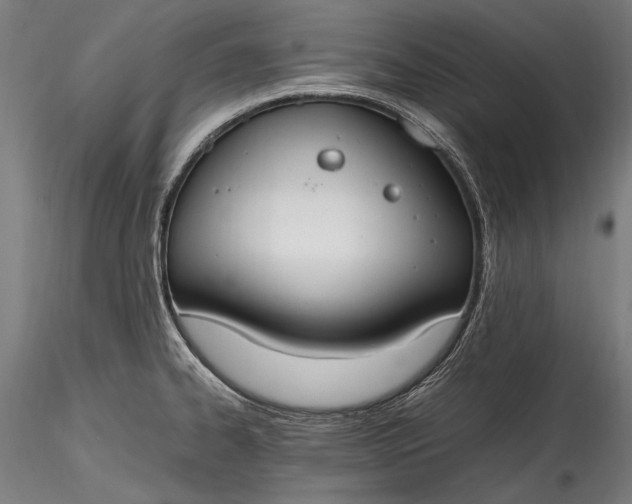 X0000115761334200911271108