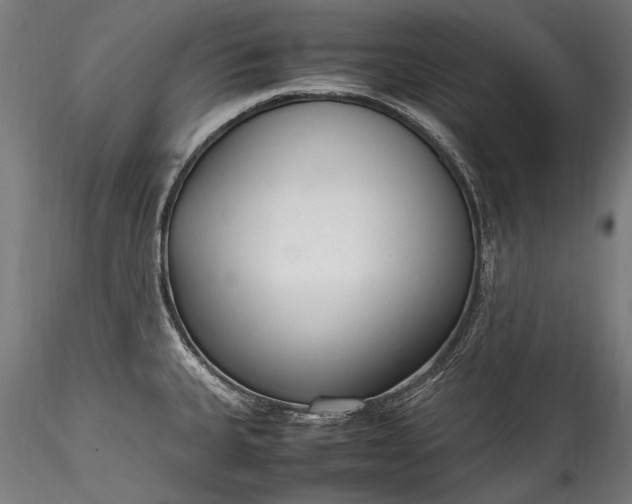 X0000115761335200911271108