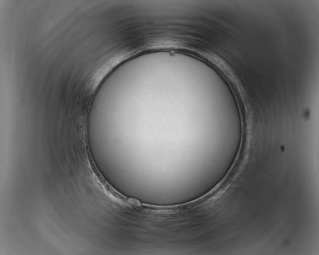 X0000115761337200911271108
