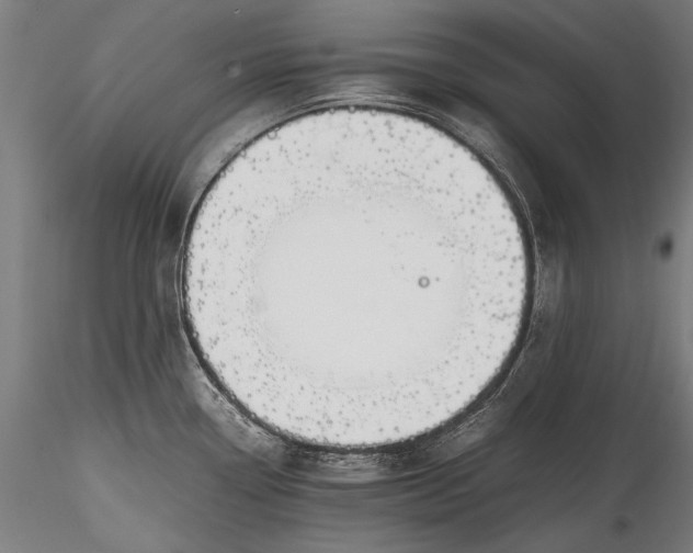 X0000115761338200911271108