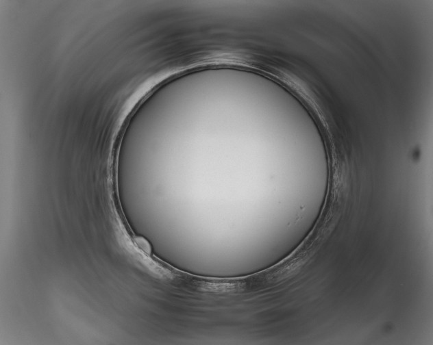 X0000115761339200911271108