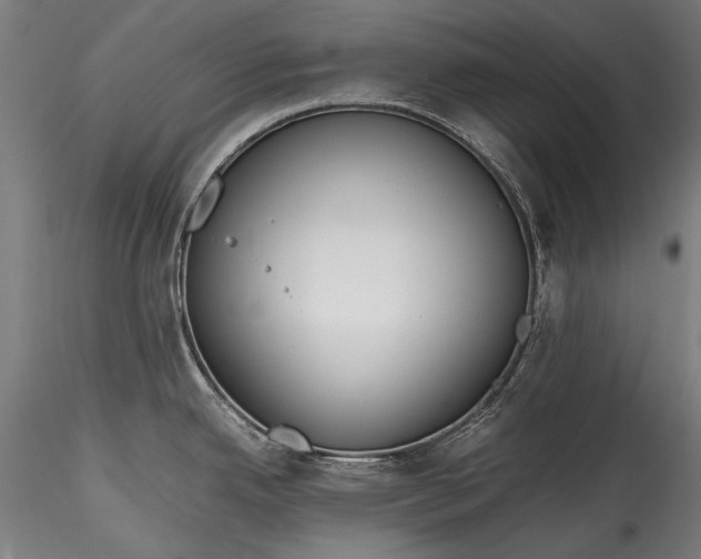 X0000115761342200911271108