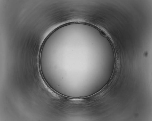 X0000115761343200911271108