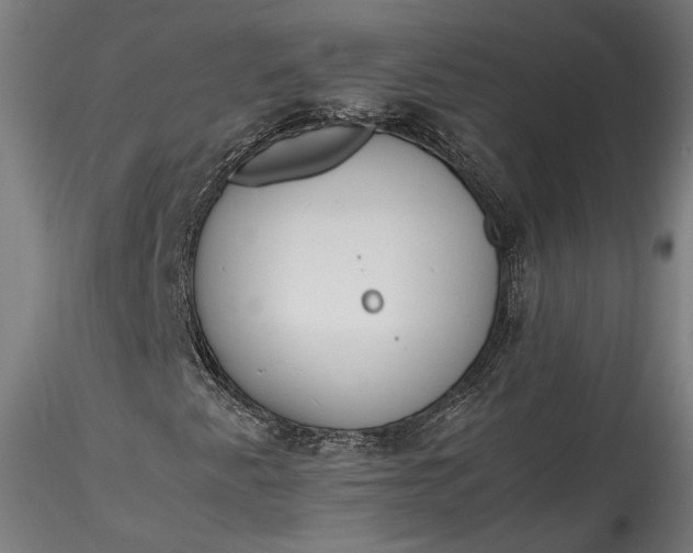X0000115761345200911271107