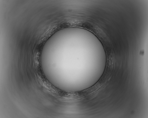 X0000115761346200911271107
