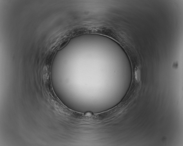 X0000115761347200911271107