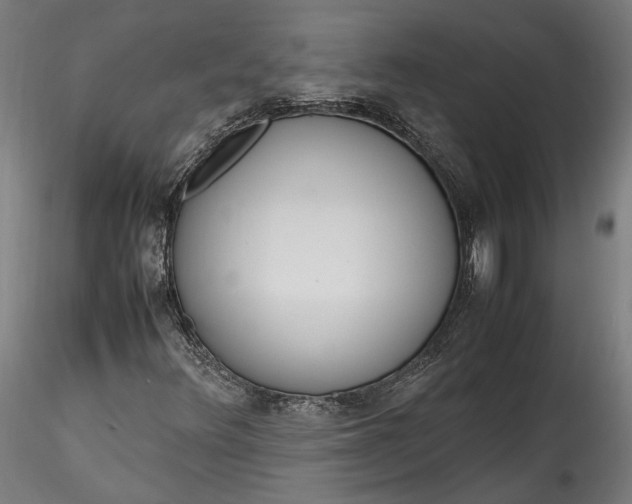X0000115761348200911271107