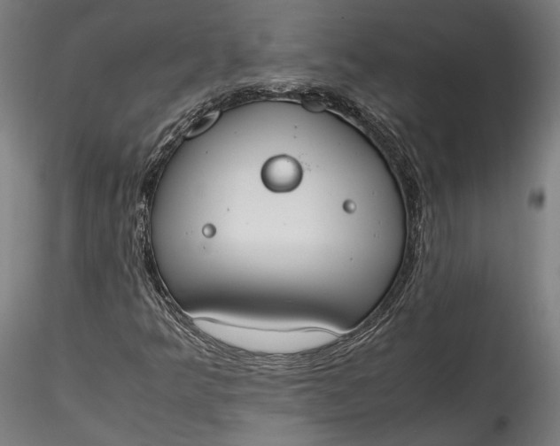 X0000115761349200911271107