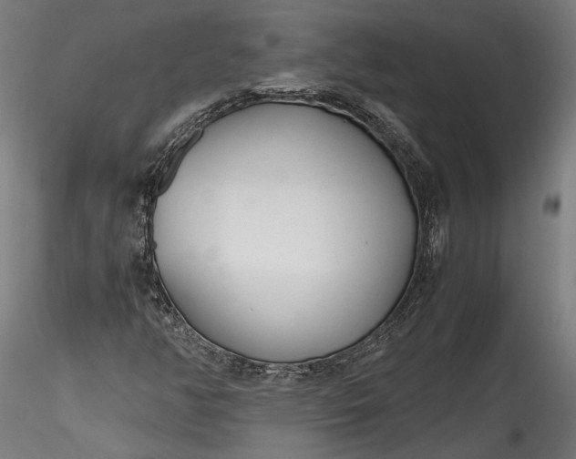 X0000115761350200911271107
