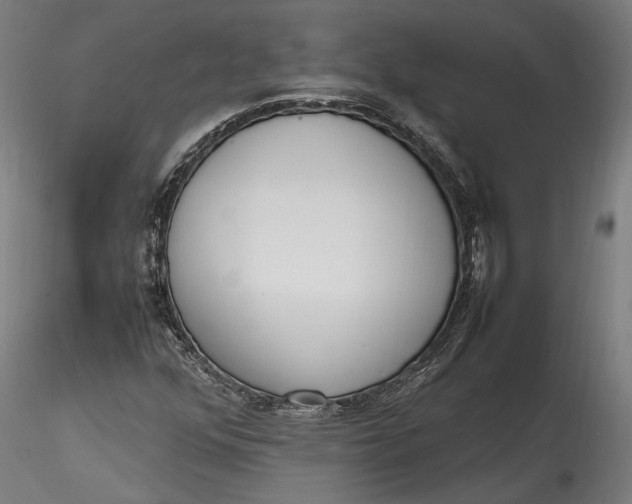 X0000115761352200911271107