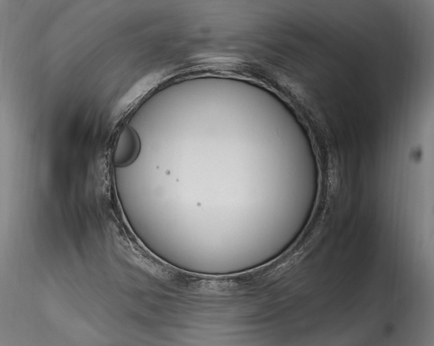 X0000115761354200911271107