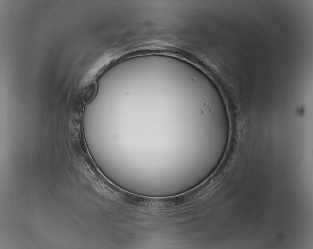 X0000115761355200911271107