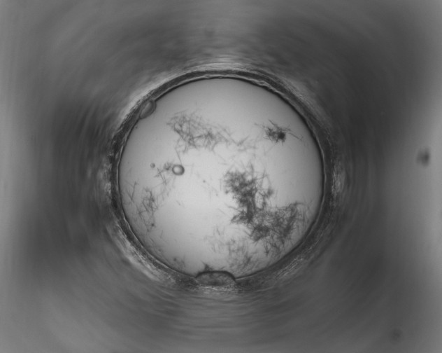 X0000115761356200911271107