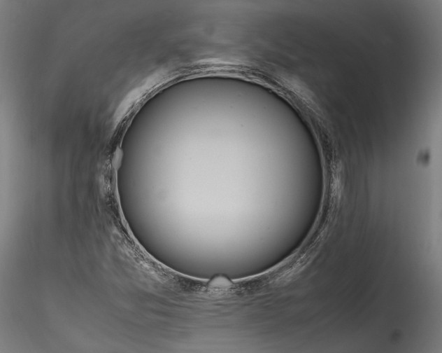 X0000115761357200911271107