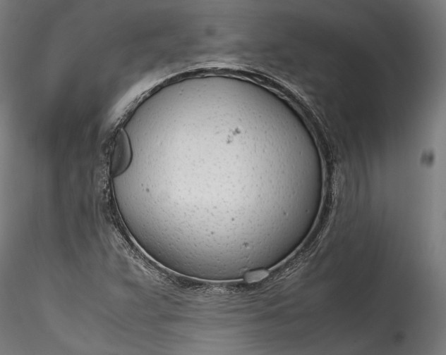 X0000115761359200911271107