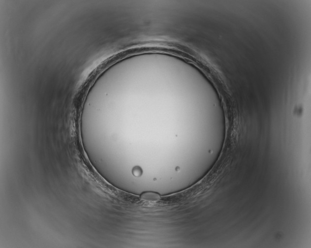 X0000115761360200911271107