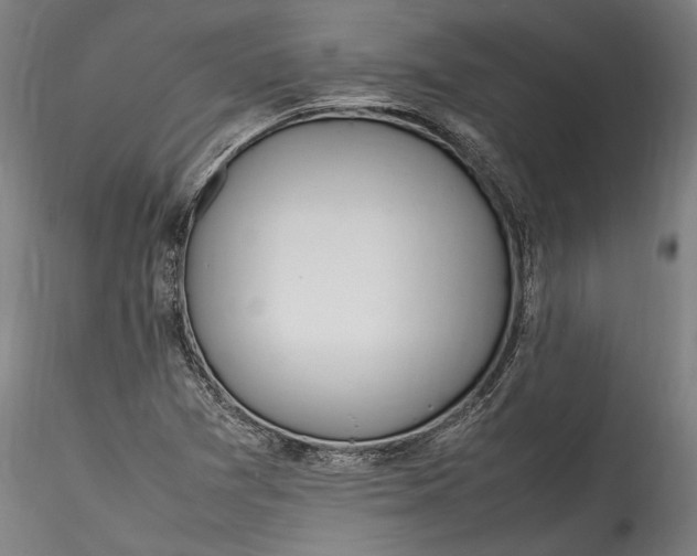 X0000115761361200911271107