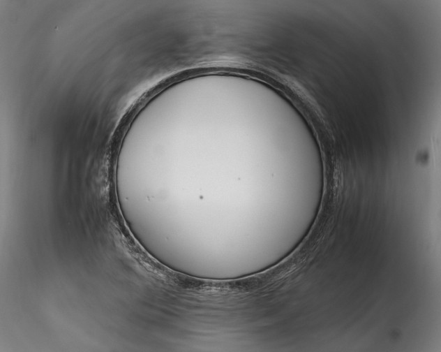 X0000115761364200911271107