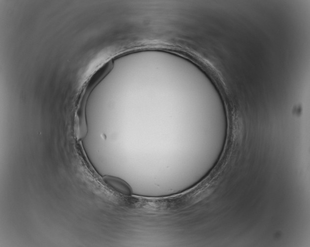 X0000115761365200911271107