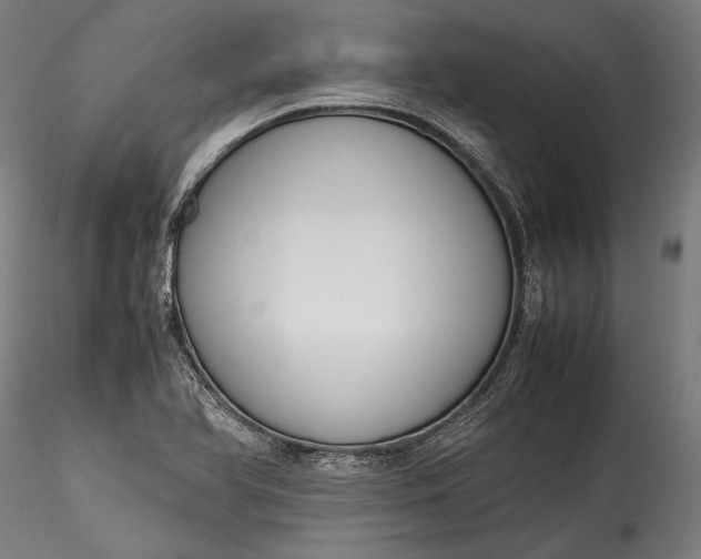 X0000115761366200911271107