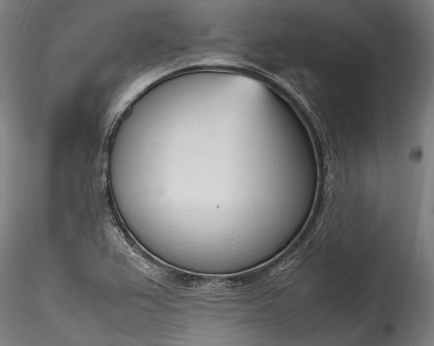 X0000115761367200911271107