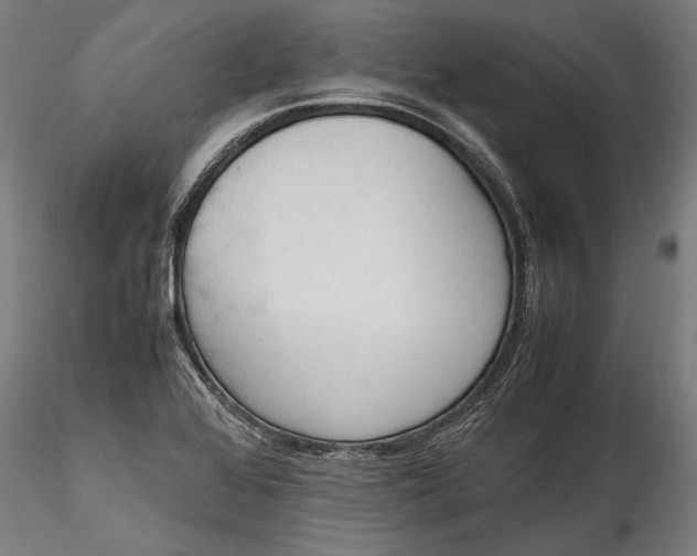 X0000115761368200911271107