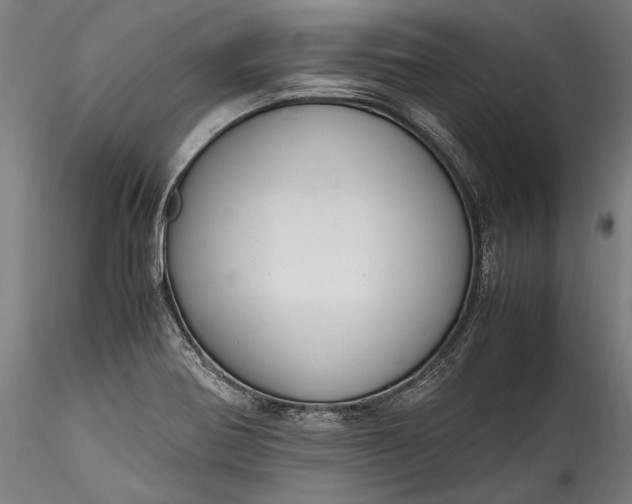 X0000115761370200911271107