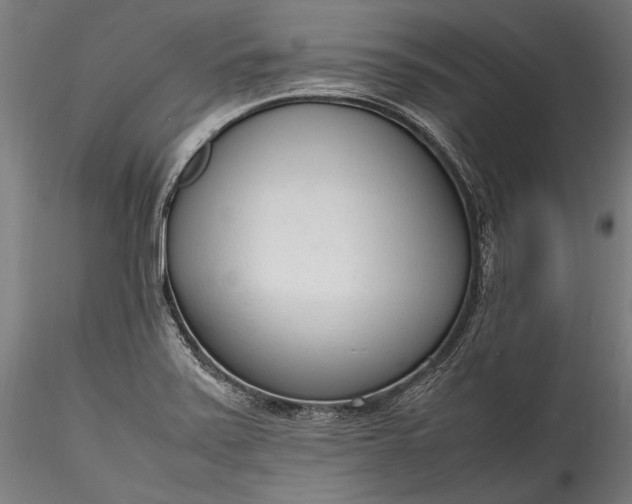 X0000115761371200911271107