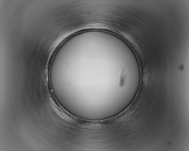 X0000115761372200911271107
