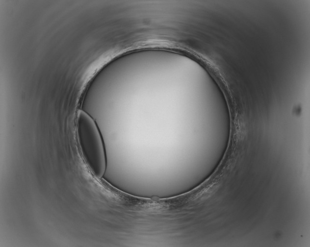 X0000115761373200911271106