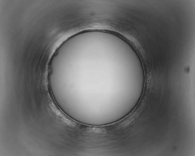 X0000115761374200911271106