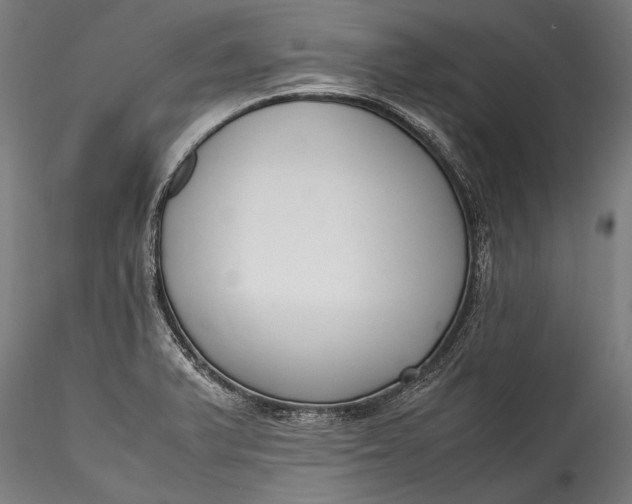 X0000115761375200911271106