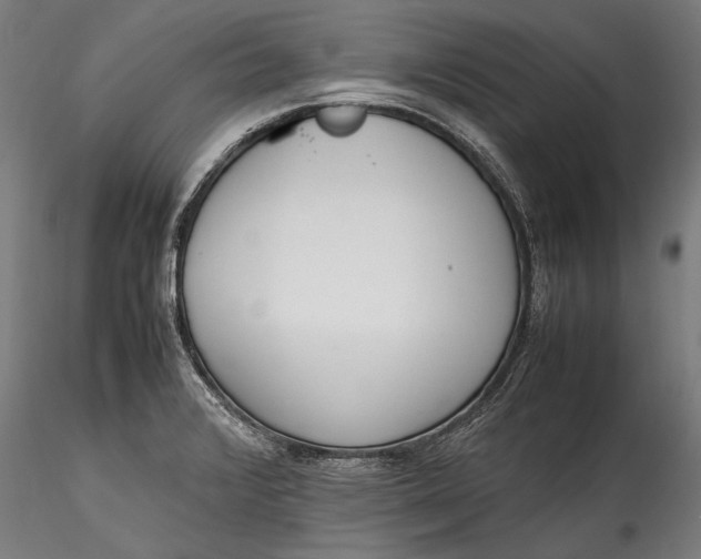 X0000115761376200911271106