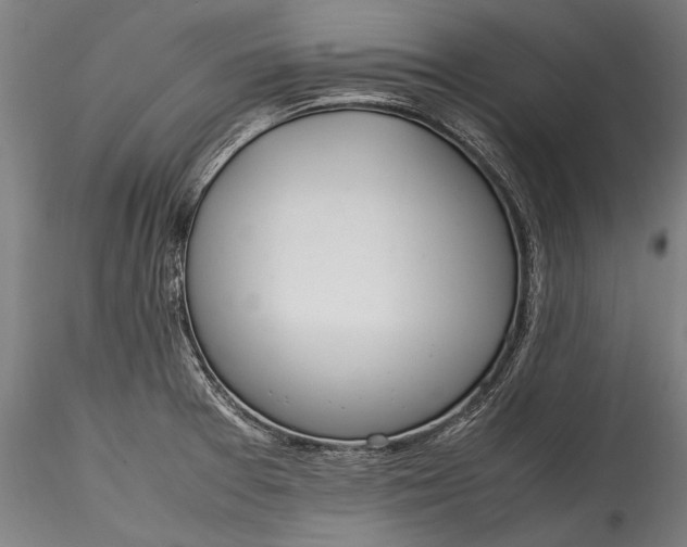 X0000115761377200911271106