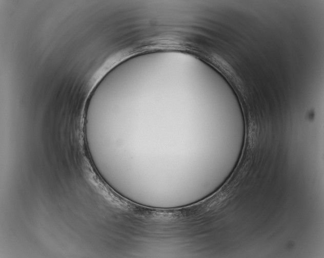 X0000115761378200911271106