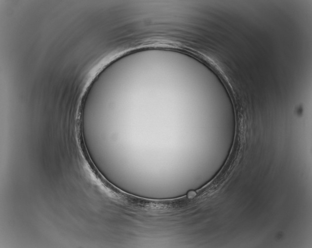 X0000115761379200911271106