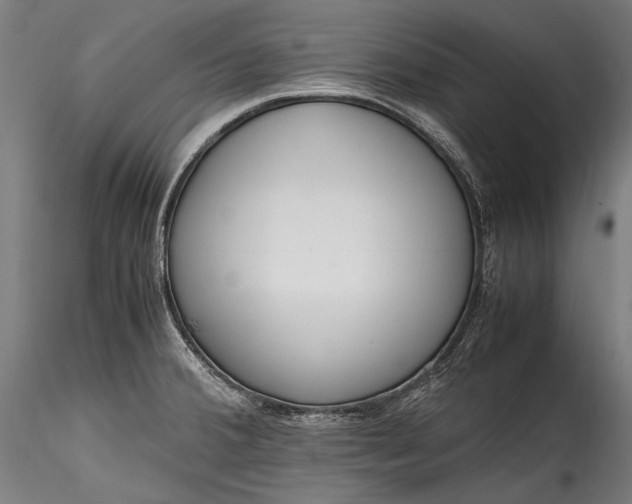 X0000115761380200911271106