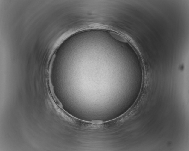 X0000115761381200911271106