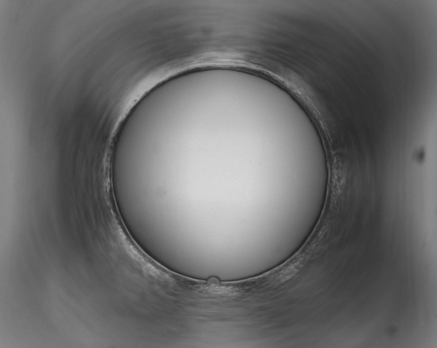 X0000115761382200911271106