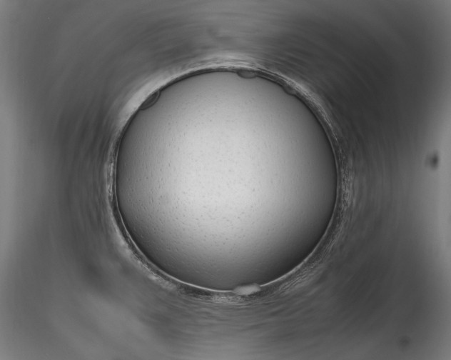 X0000115761383200911271106