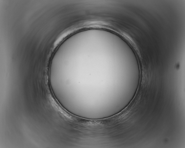 X0000115761384200911271106