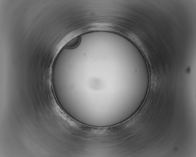 X0000115761386200911271106