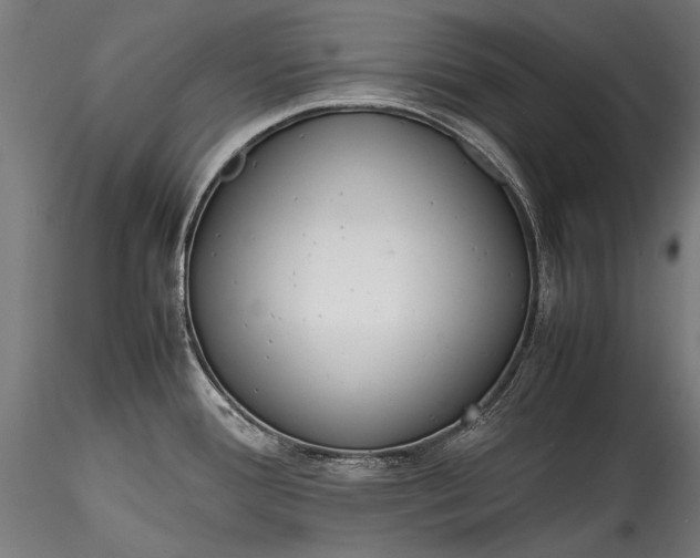 X0000115761388200911271106