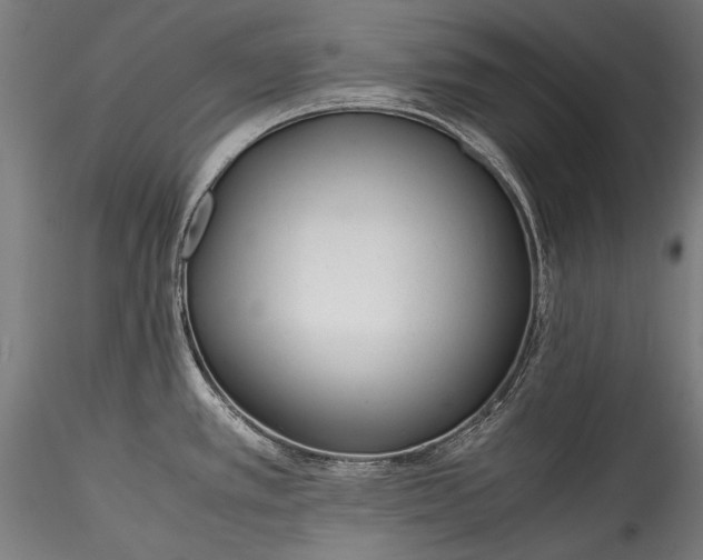 X0000115761389200911271106