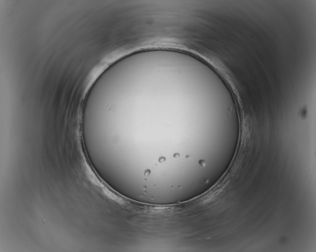 X0000115761390200911271106