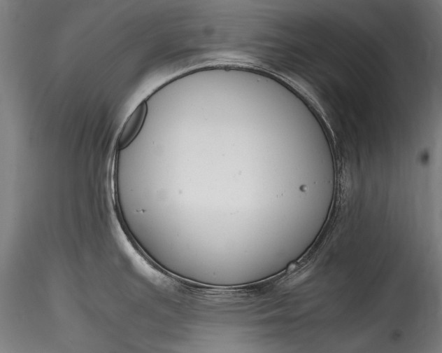 X0000115761391200911271106