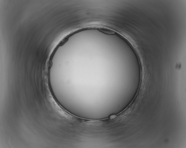 X0000115761392200911271106